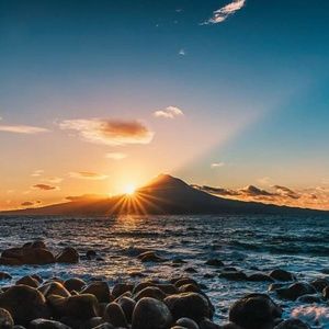 Meet your Posher, Celeste